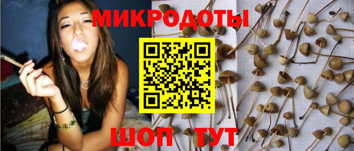 Новочеркасск  Псилоцибиновые грибы мицелий  Вход с VPN 